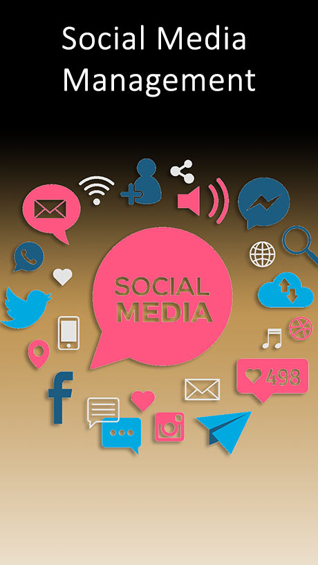 Social Media Management